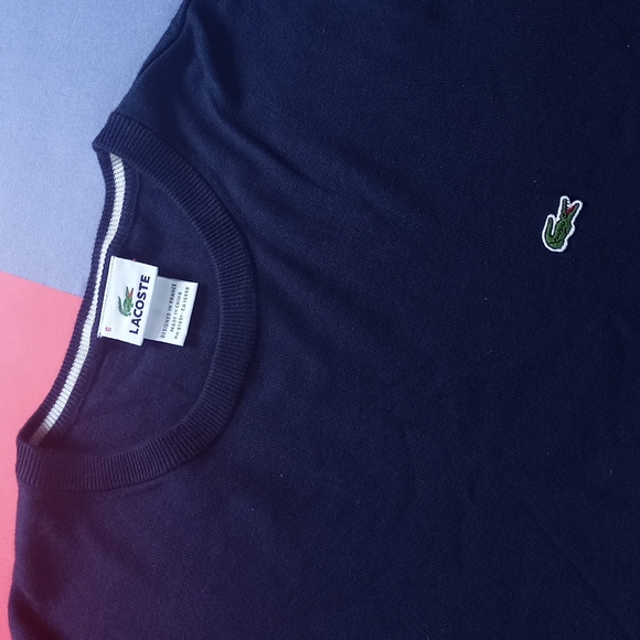 Exclusive Lacoste Essential V-Neck Crocodile Sweater